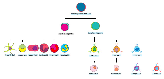 celltree